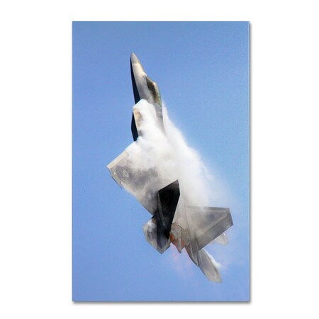 Trademark Fine Art CATeyes 'Soaring' Canvas Art, 12x19 MZ0282-C1219GG